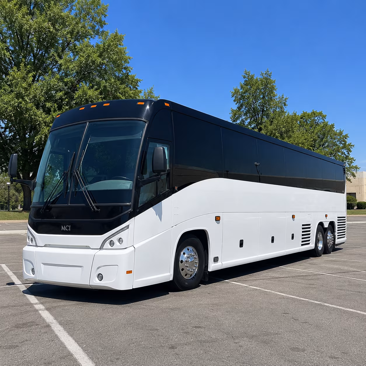 in the black hills smaller buses often beat the big coach