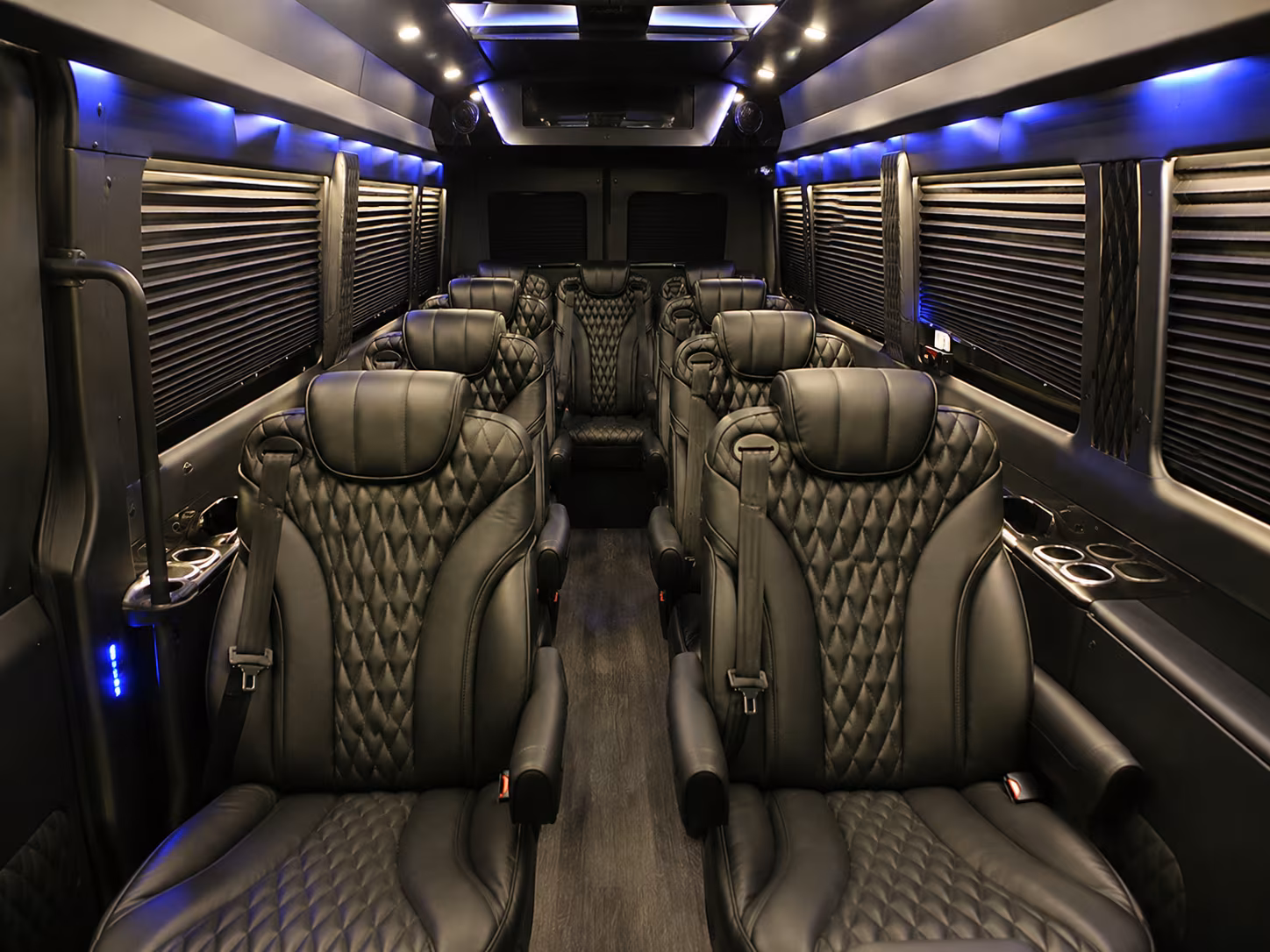 sprinter vans and minibuses for iron mountain road and needles highway tours